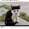 anna - @anna.gongora - TikTok