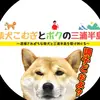 Anna Grainger - @anna.grainger7 - TikTok