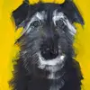 annagrainger - @annagrainger - TikTok