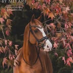 Annie Crouseilles - Facebook