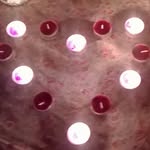 anna grewe - @anna_13042005 - Instagram