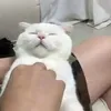 Anna Griffiths - @anna.griffiths6 - TikTok