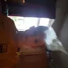 anna griffiths - @noahjames2411 - TikTok