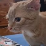 Anna Hafner - @hafner.anna1 - Instagram