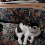 Anna Lena Hafner - @hafner.a - Instagram