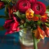Haga Anna - @haga.anna7 - TikTok