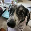 anna✨️ - @anna.hahn2 - TikTok