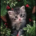 Gabriella Anna Hahn - Facebook