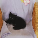 Anna Haider - @annahaider3 - Instagram
