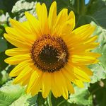 Anna Haider - @annamh38 - Instagram