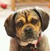 Anna Haigh - Facebook
