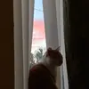 hanna haigh - @hanna.haigh5 - TikTok