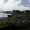 Anna Haines - @anna.haines90 - TikTok