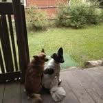 Anna Hajduk - @anna.hajduk55 - Instagram