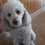 Ana María Halaburda - @anamariahalaburda - Instagram