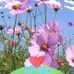 Anna Halagarda - Facebook