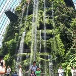 Anna Halim - @halim4211 - Instagram