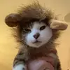 Anna Halkias Vitorou - @krazykathouse6 - TikTok