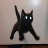 annahall - @annahall - TikTok
