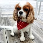 Anna Hallgren Wretborn - @annahallgrenwretborn - Instagram