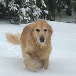 Anna Hoey Hallman - @hallman4468 - Instagram