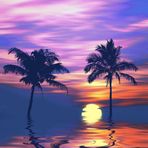 Anna Hamada - Facebook