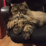 Anna Hamera - @anna.hamera.923 - Instagram