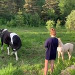 Anna Hamill - @anna_hamill11 - Instagram