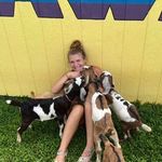 Anna Hamlett - @anna_hamlett - Instagram