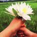 Anna Hammad - Facebook