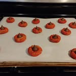 Anna Hammel - @dolphin11272007 - Instagram