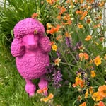 Anna - Gardener in Hampshire (UK) - @gardengalorious - Instagram