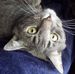 Anna Kittredge-Hampshire - Facebook