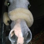 Anna Hamre - @annahamre1 - Instagram