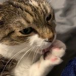 Anna Hamrick - @sweet_bonkie_94 - Instagram