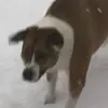 Anna - @anna.hancock66 - TikTok