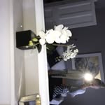 Anna Hancox - @anna_gymnastics2 - Instagram