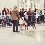 @anna_handling_ct - Instagram