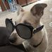 Anna Hanley - Facebook
