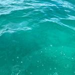 Anna Hanlon - @hanlonanna - Instagram
