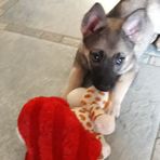 Anna Hanneman - Facebook