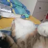 AnnaHennemann - @annahennemann - TikTok