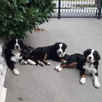 Anna Happ - Facebook
