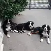 Anna Happ - @anna.happ8 - TikTok
