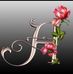 Anna Harder - Facebook