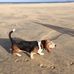 Anna Hardiman - Facebook