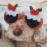 Anna Hardman - @manannabanana - Instagram