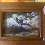 Anna Hardt Wright - @vermontviolet802 - Instagram