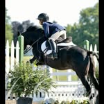 anna hardy - @nike_the_jumping_pony_1537 - Instagram