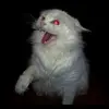 anna.hare - @anna.hare - TikTok